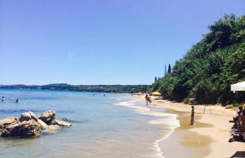 Ανεμώνη - Anemoni - Foto 6