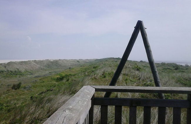 Lagoon on the Wadden See on Wangerooge - Foto 22