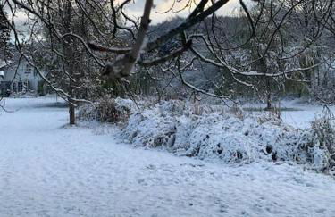 Landhaus „Blattgold“ - Foto 25