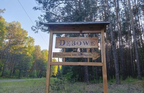 Dębowe dawna leśniczówka - Photo 7