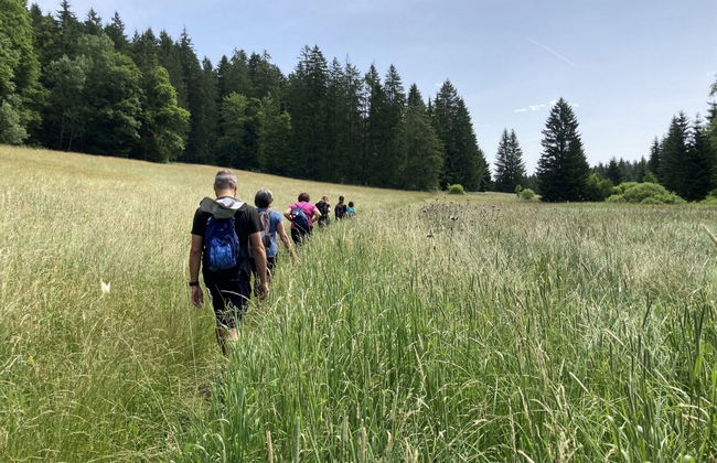 Maison de vacances - LM - Foto 18