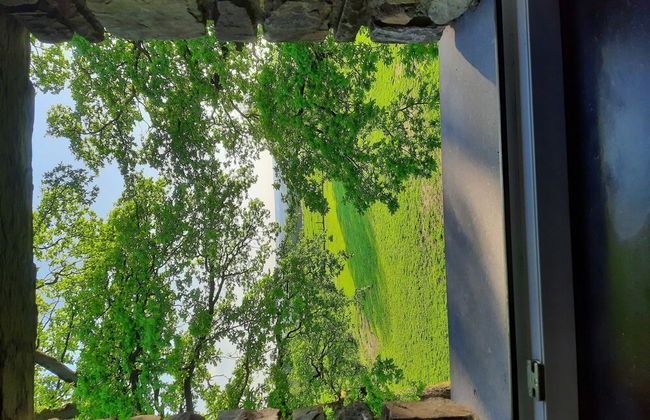 Wonderful Holiday Home in Gouvy with Hot Tub - Photo 50