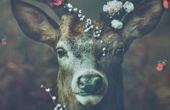 Luxus Apartments Mosel-Zeit NEU 2023 - Foto 18