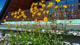 4 Personen Ferienwohnung - Foto 5