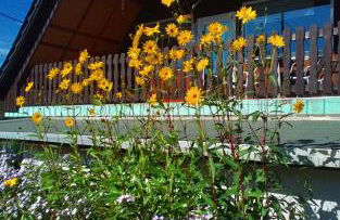 4 Personen Ferienwohnung - Foto 5