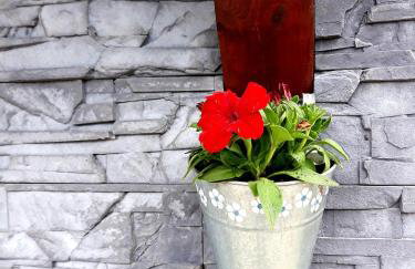 Zielone Zacisze - Foto 20