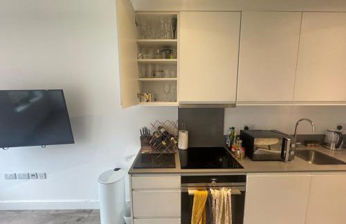 JVL Nice Cosy 1BR Flat Purley, London - Foto 61