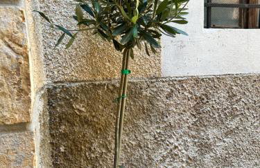 SeaYou!***Charming 1-bedroom rental unit in the old city center of Cres - Foto 21