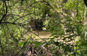 W Kręgu Natury - Foto 48