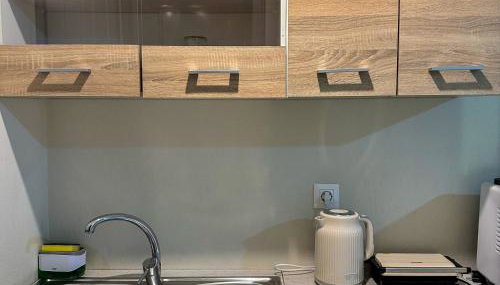 Dolphin Studio - Photo 3, stove