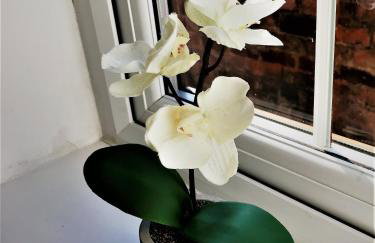 Tarporley Holiday Cottage - Foto 25