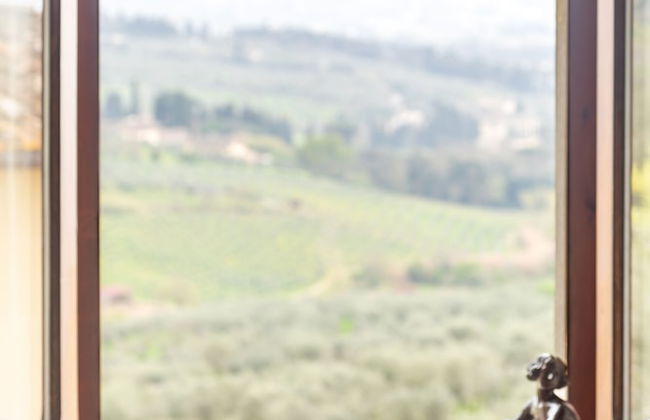 Fattoria di Maiano - Foto 56