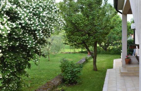 Apartment Sopta - Photo 15