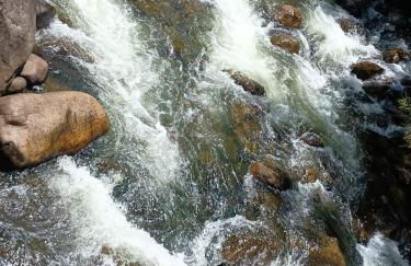 Refúgio verde - Photo 27