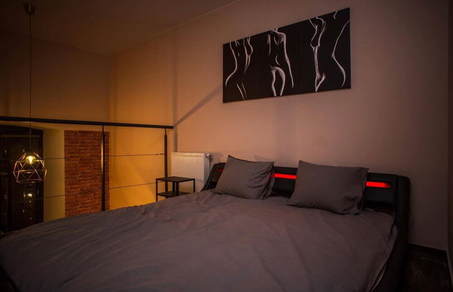 Dream Aparts - Lofty Scheiblera - Foto 5