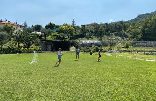 Appartamento Trifoglio - Foto 4