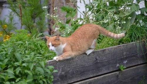 Hof Rossruck - Foto 2