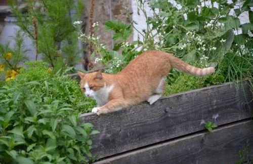 Hof Rossruck - Foto 2