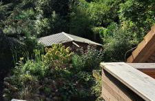 Ferienwohnung Ruhepol - Photo 9