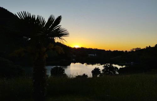 PequeñoCabárceno - Foto 20