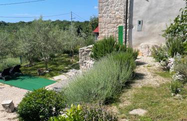 Villa Ana with jacuzzi & swimming pool - Foto 11