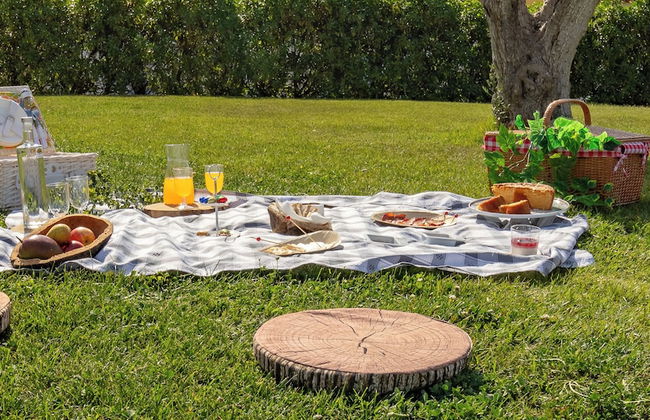 Monte do Giestal - Casas de Campo and Spa - Photo 45