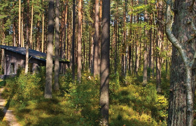 Rabarberi LV - SeaSide Village - Foto 43