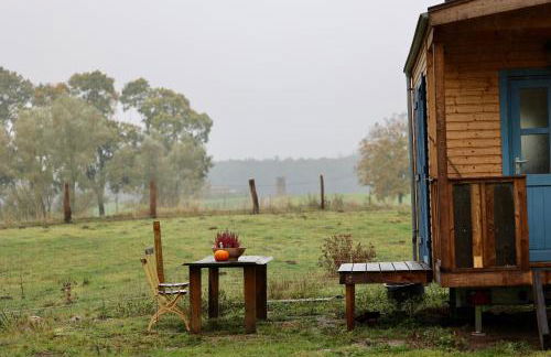 Autarker Schäferwagen mit Kamin ganzjährig nutzbar - Foto 16