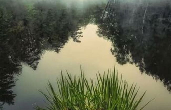 Holiday Apartment Rappenfels Lodge - Photo 20