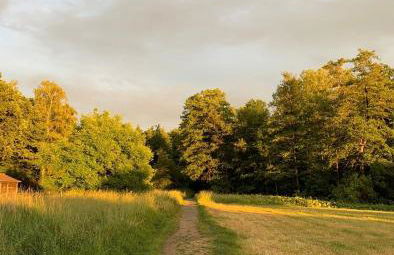 Ferienwohnung am Waldrand mit großem Garten - Foto 19