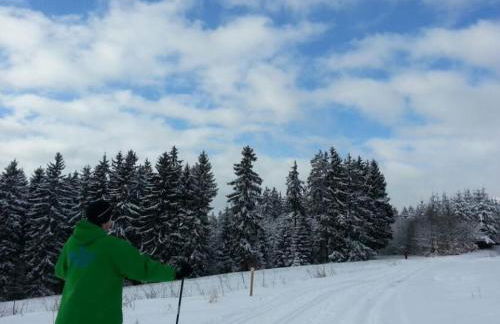 Frankenwald Ferienhaus FourStars am See in Lichtenberg, Bayern, Oberfranken, Bad Steben - Hof -Saale, Rennsteig - Foto 76