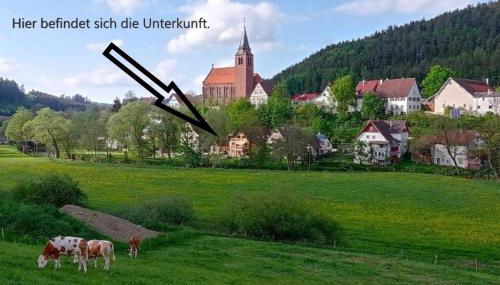 Ferienglück im Schwarzwald - Foto 5