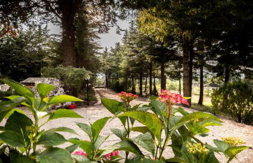 Le Conifere - Foto 30