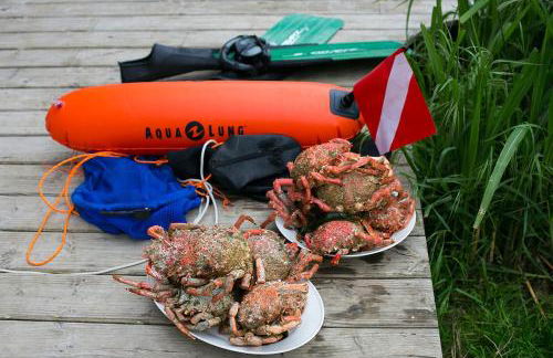 Pioka Loft Art & Surf - Foto 33