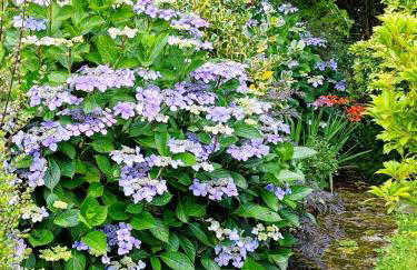 TheWeeHouseOnTheHill - Foto 35