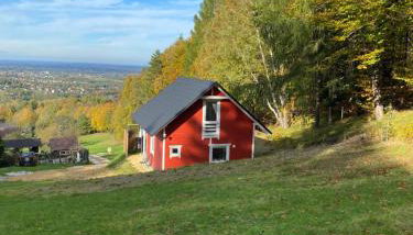 Forest house - Foto 5