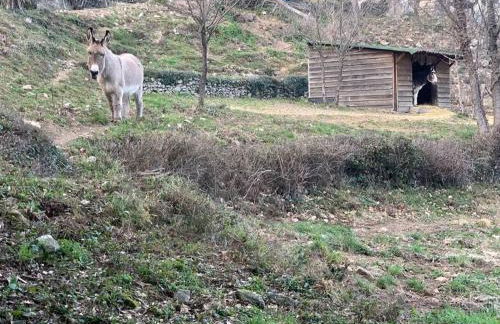 Villa La source & SPA - Photo 16