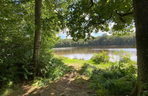 Cottage entier 4 ou 6 personnes gîte 19 - Foto 19