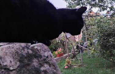 Gîte Le Marronnier, parking et terrasse au calme, entre Colmar-Riquewihr et Obernai, vue sur espaces verts et coteaux d Alsace, route du vin-châteaux - Foto 37