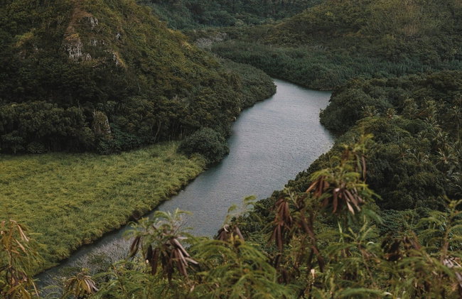 Kauai Plantation Hale Hotel - Foto 109