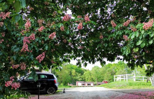 Erdhaus WEST - Ferienhof Bartel - Foto 5