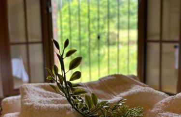 La Casa Grande de Cabrales II - Foto 7