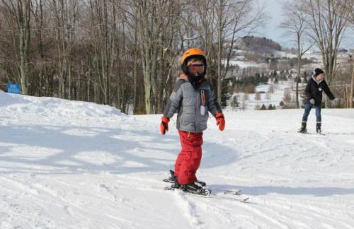 Southwoods Mountain Estate -private mansion, pool, hottub+ 15 acres - Foto 68