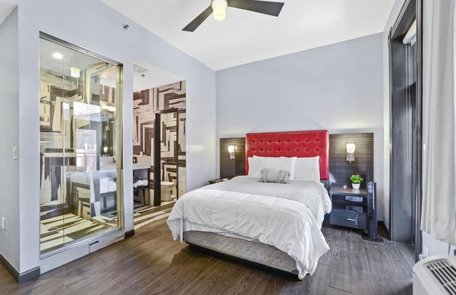 Perfect En Suite Studio - Photo 14