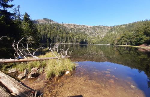 AnNo - Wohlfühlplatzal in da Mauth - Foto 26