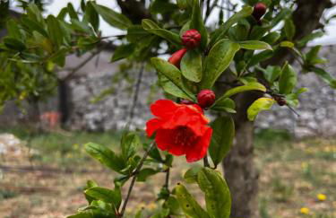 Casa da Curva - Foto 55