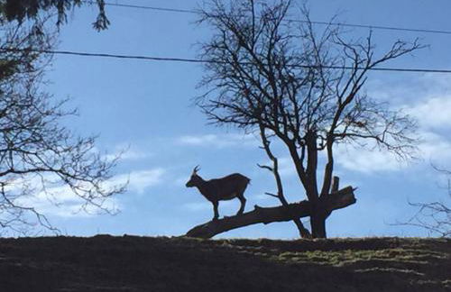 Ferienwohnung Uschi Willibald - Foto 33