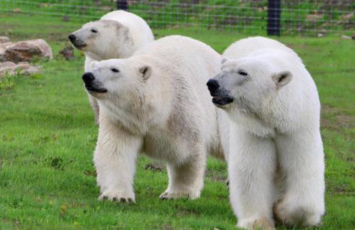 Barn-sleeps 4-parking-near Alton Towers/peak Dist - Foto 27