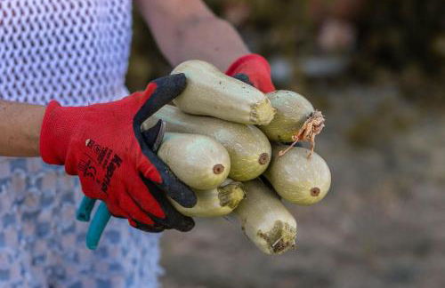 Akrotiri Estate Naxos - Private Hillside Estate - Foto 128