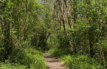 Ostalon de Sénégats - Foto 53